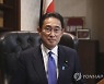 Japan Politics