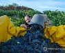SPAIN GRAPE HARVEST