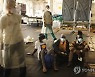 Europe Migrants