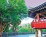 산은 낮지만 숲은 깊고, 옛이야기는 더욱 웅숭깊다