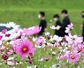 [내일 날씨] 전국 대체로 '맑음'.. 수도권·강원 영서 구름 많아져