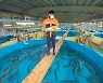 국내산 대서양연어 식탁에.. 강원 동해안 새 양식산업 보고로