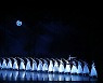 유니버설발레단, 낭만 발레 '지젤' 무대에