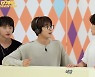 '고잉 세븐틴' 세븐틴, 돈독한 케미의 '부족오락관'→미니 9집 컴백 예고