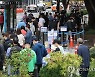 양천구 학원·강북구 요양병원서 집단감염..총 37명