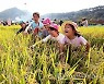 완주 와일드&로컬푸드축제 취소.."코로나19 속 주민 안전 보장"
