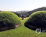 김포 장릉 사이로 보이는 신축 아파트 단지