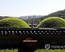 김포 장릉 사이로 보이는 신축 아파트 단지
