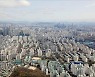 [국감 2021] 법인 마저 부동산 '영끌'..아파트 1~7월 거래 '1만3779건'