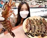 홈플러스 "손바닥보다 큰 '자연산 킹타이거 새우' 맛보세요"