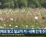 대구·경북 대체로 맑고 일교차 커..내륙 안개 주의