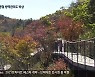 설악산 첫 단풍..잇단 연휴에 단풍 관광 '들썩'