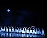 Universal Ballet to go onstage with 'Giselle'