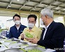 '과일의 도시 영천' 굳힌다, 화남 죽곡에 전문 생산단지