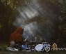 INDIA KASHMIR NOMADS