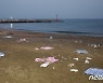 '쓰레기장된 백사장'
