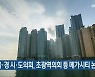 부·울·경 시·도의회, 초광역의회 등 메가시티 논의