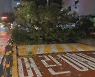 밤사이 서울서 '강풍·폭우' 피해신고 110여건