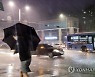 지난밤 서울 '깜짝' 돌풍·폭우..곳곳 비 피해