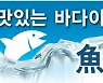 회를 아예 안 먹지 않는다면, 나는 무조건 먹어봤겠지