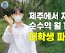 대학생이 벌써 파이어족..제주 내려가 '월 1200만원' 버는 비결은?