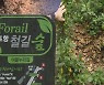 포항 명소 철길숲 꽃·나무 좀도둑에 '몸살'