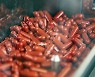 먹는 코로나 치료제 나오나.. FDA, 내달 30일 승인 여부 논의