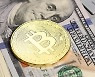 美 SEC 비트코인 ETF 승인 예상, 국내 가격 7500만원 돌파