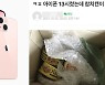 '아이폰13 시켰는데 참치캔이?' 쿠팡 황당 배송
