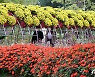 [오늘의 날씨] 대전·충남(16일, 토)..낮 13~15도, 서해 높은 파도
