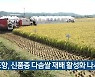 포항, 신품종 다솜쌀 재배 활성화 나서