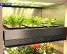 식물재배기·밀키트 자동 조리기..코로나가 바꾼 가전시장