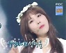 신봉선 "눈코 성형? 눈은 진짜 안 했습니다"