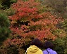 가을의 정취 즐기는 사람들