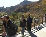 때 이른 추위 속 단풍 절정..나들이객 '북적'