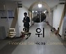 올해 상장사 과반 지정감사..금융당국, 회계 부당행위 감독 강화