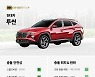현대차, 美서 안전성 증명했다..IIHS 27개 차종 '최상위' 평가
