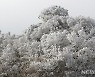 '빠른 가을 추위'에 서울 첫 얼음..평년보다 17일 빨라