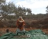 MIDEAST PALESTINIANS AGRICULTURE