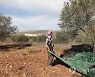 MIDEAST PALESTINIANS AGRICULTURE