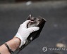 epaselect MIDEAST ISRAEL PHOTO SET EGYPTIAN FRUIT BATS