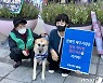 동물보호단체  '카라' "칠성 개시장 폐쇄하라"..대구시청앞서 시위