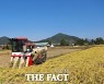 장성군, 올해 쌀 생산 20% 증가..2만2000여톤 수확 전망