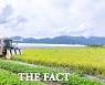 담양군 '대숲맑은 담양 친환경 쌀', 잔류농약 전수검사 실시