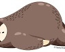 [소년중앙] 숙제도 친구 만나는 것도 "귀찮아"..우울증 신호일까
