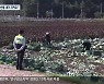 "내 고장 농산물 내가 지켜요!"..주민이 나선다