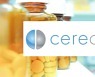 U.S. biotech firm Cerecin raises $30mn from Korean investors
