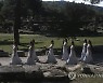 GREECE BEIJING 2022 WINTER OLYMPICS