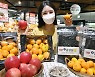 홈플러스, 제철 먹거리 할인전 전개..농·어가 판로 확대 지원