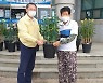 국화꽃 향기를 나눠드립니다
